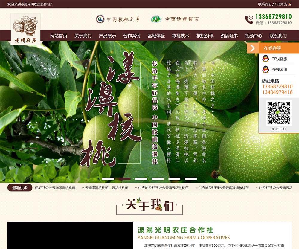 光 明 农 庄 合 作 社