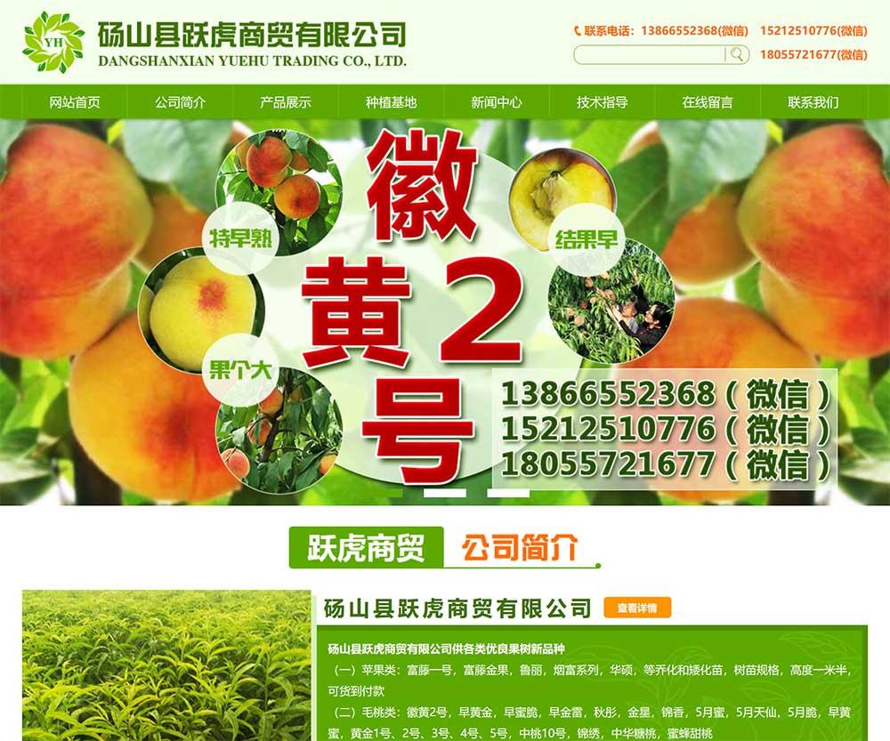 跃虎商贸有限公司